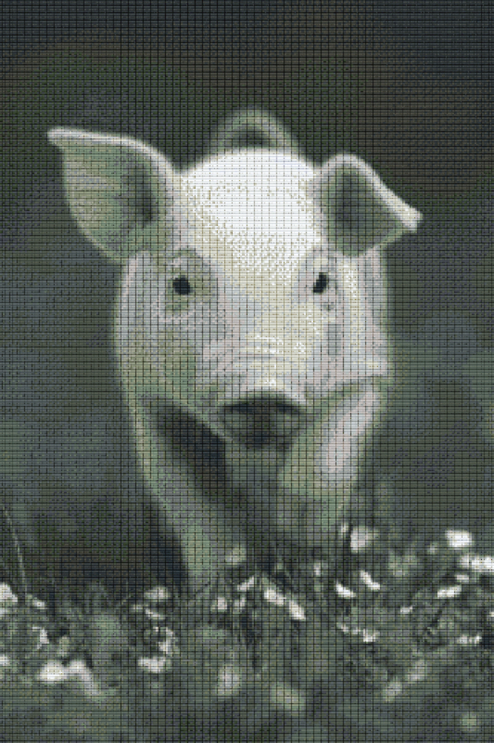 Pig Thirty [30] Baseplate PixelHobby Mini-mosaic Art Kit image 0